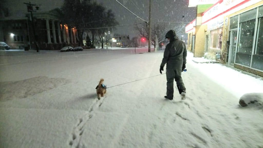 Christmas in the snow