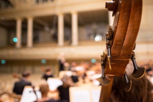 cello at concert