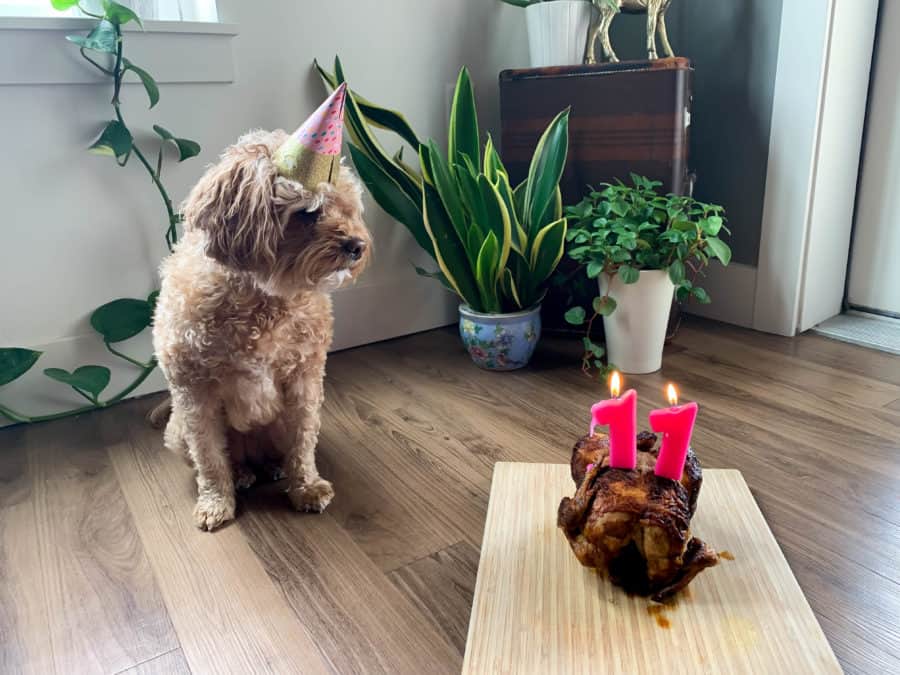 Lily Birthday