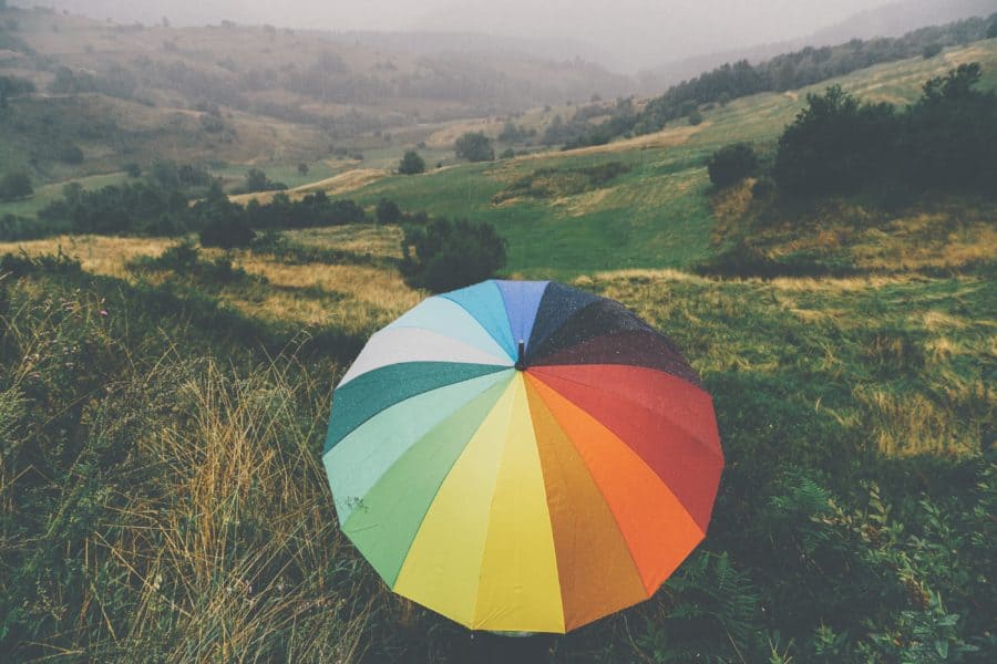 Rainy Day in a field