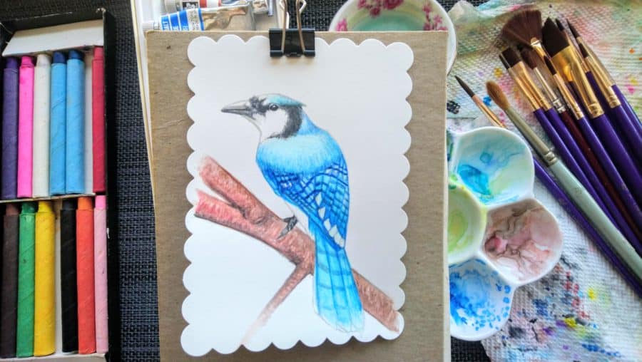Blue jay watercolor
