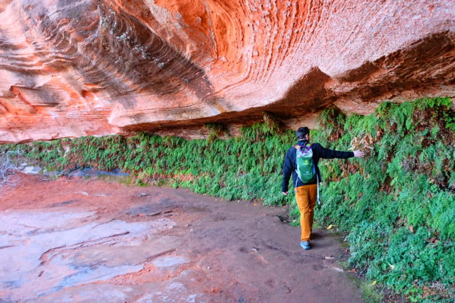 Hanging Garden Trail